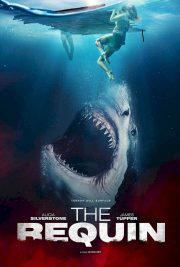 ดูหนังใหม่ The Requin (2022)