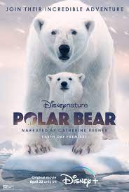 Polar Bear ดูหนังฟรีออนไลน์ หนังใหม่2022