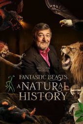 ดูหนังออนไลน์ฟรี Fantastic Beasts: A Natural History (2022)