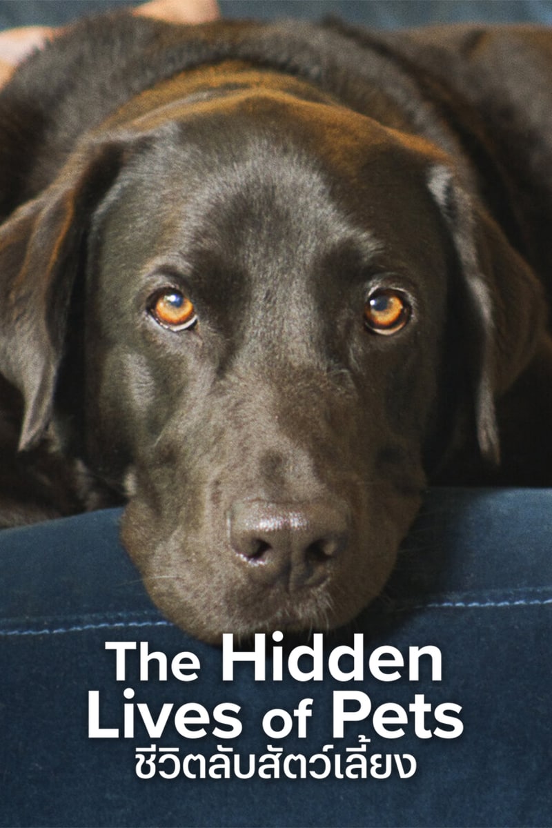 เว็บดูหนังออนไลน์ฟรี The Hidden Lives of Pets (2022) ชีวิตลับสัตว์เลี้ยง HD