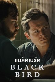 ดูซีรี่ย์ออนไลน์ Black Bird (2022) แบล็ค เบิร์ด ซีรี่ย์ฝรั่ง