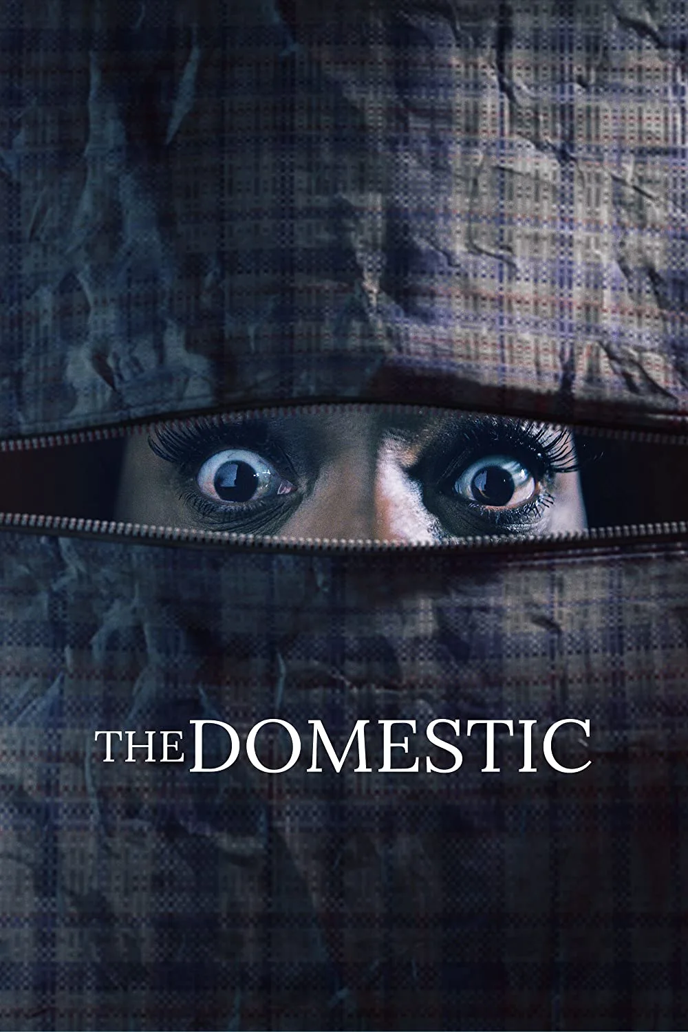 The Domestic -2022-