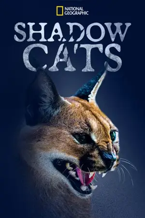 หนังออนไลน์ Shadow Cats (2022)