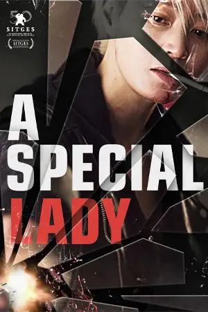หนังเกาหลี A Special Lady (2017)