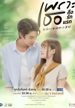 ดูซีรี่ย์ออนไลน์ A Love So Beautiful (2024)