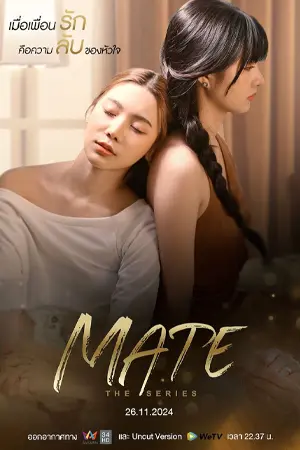 ดูซีรี่ย์ออนไลน์ Mate The Series (2024)