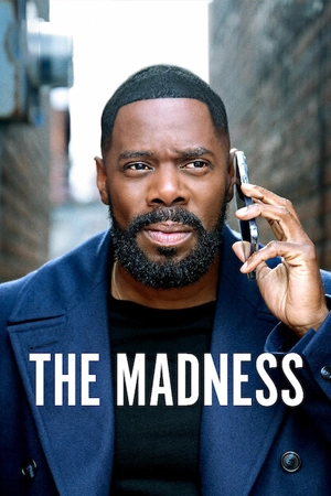 ดูซีรี่ย์ออนไลน์ The Madness (2024)